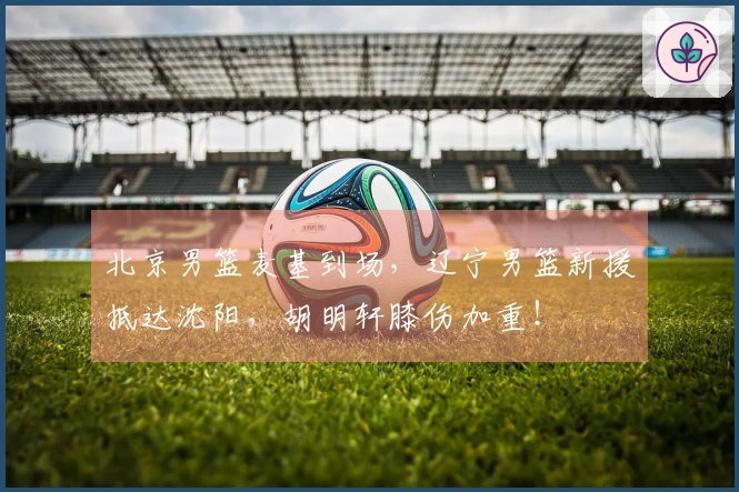 北京男篮麦基到场，辽宁男篮新援抵达沈阳，胡明轩膝伤加重！