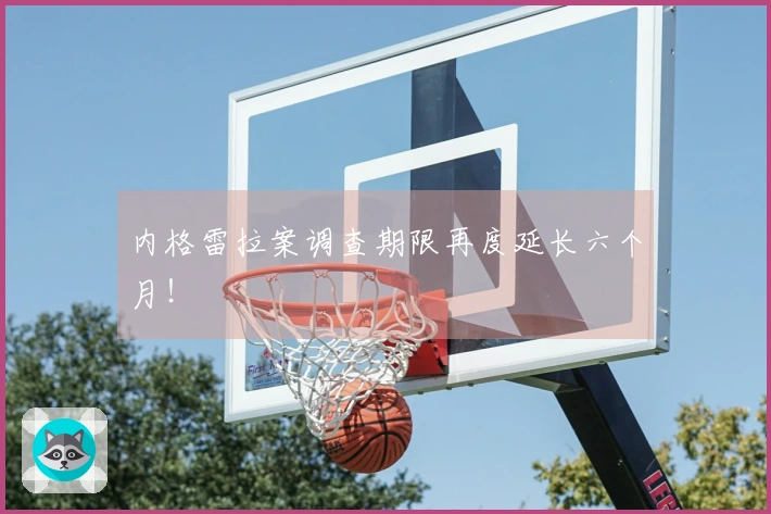 内格雷拉案调查期限再度延长六个月！