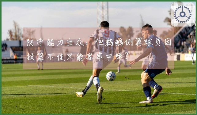 防守能力出众，但鹈鹕侧翼球员因投篮不佳只能客串中锋？