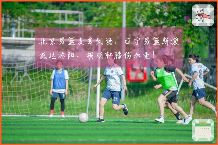 北京男篮麦基到场,辽宁男篮新援抵达沈阳,胡明轩膝伤加重!